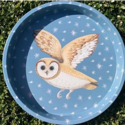 DD2971 - Owl Tin Tray
